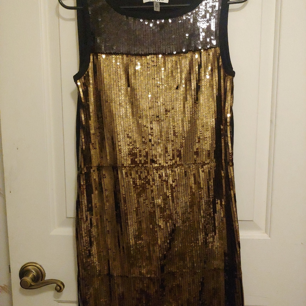 DKNYC Sequin Dress.